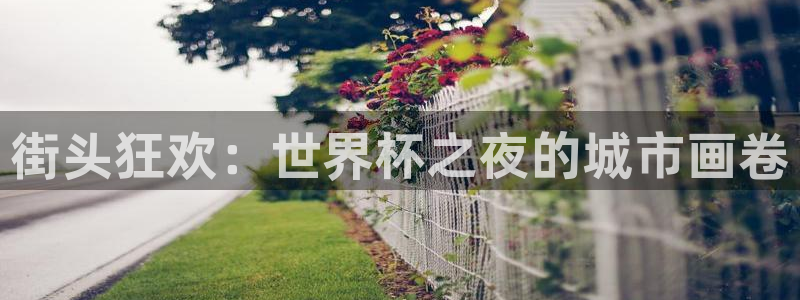 2026足球世界杯赛程时间表：街头狂欢：世界杯之夜的城市画卷