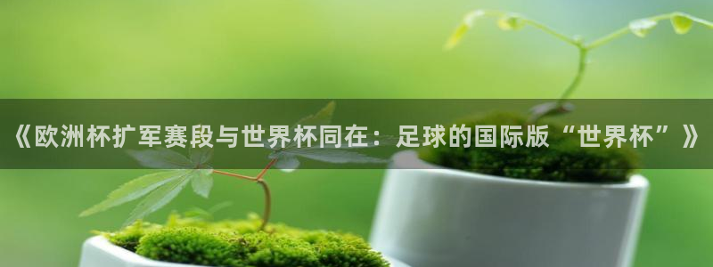 世界杯直播网：《欧洲杯扩军赛段与世界杯同在：足球的国际版“世界杯”》