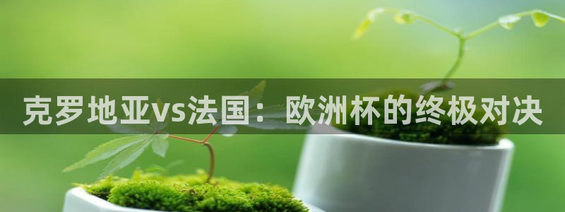 世界杯亚洲区预选赛赛程：克罗地亚vs法国：欧洲杯的终极对决