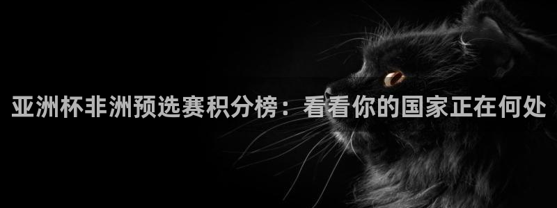 英足总杯直播：亚洲杯非洲预选赛积分榜：看看你的国家正在何处