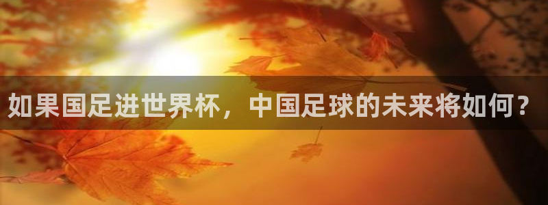 世界杯欧洲区赛程：如果国足进世界杯，中国足球的未来将如何？