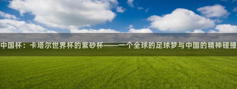 世界杯官网：中国杯：卡塔尔世界杯的紫砂杯——一个全球的足球梦与中国的精神碰撞