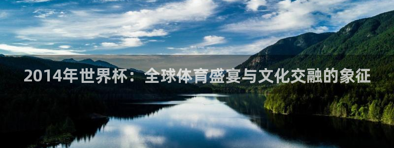 世界杯足球赛：2014年世界杯：全球体育盛宴与文化交融的象征