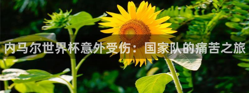 世界杯决赛预测：内马尔世界杯意外受伤：国家队的痛苦之旅
