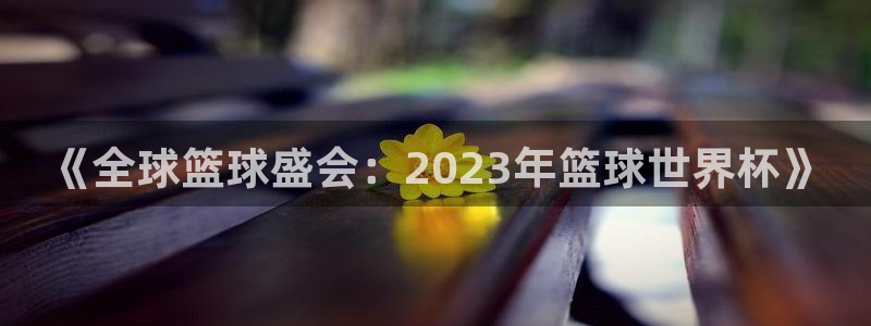 女足世界杯直播：《全球篮球盛会：2023年篮球世界杯》
