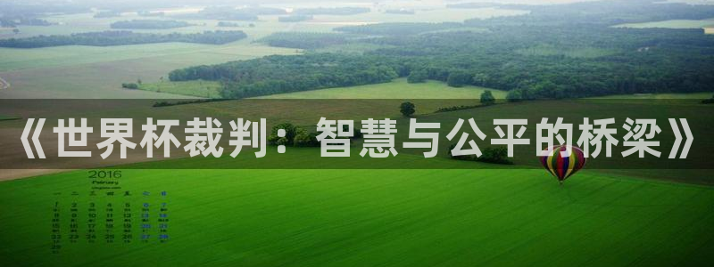 世预赛直播：《世界杯裁判：智慧与公平的桥梁》