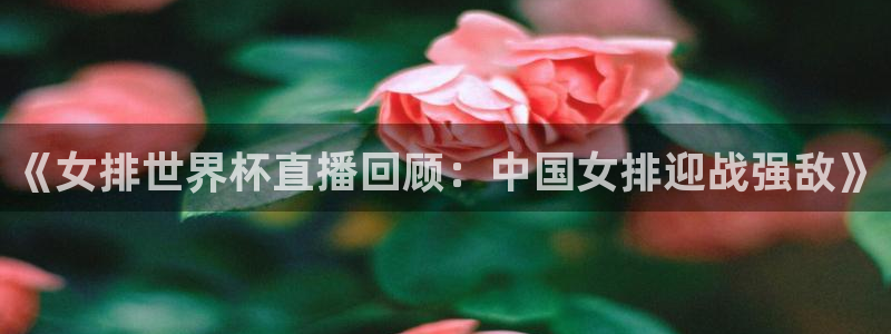 世界杯预选赛欧洲赛区积分榜：《女排世界杯直播回顾：中国女排迎战强敌》