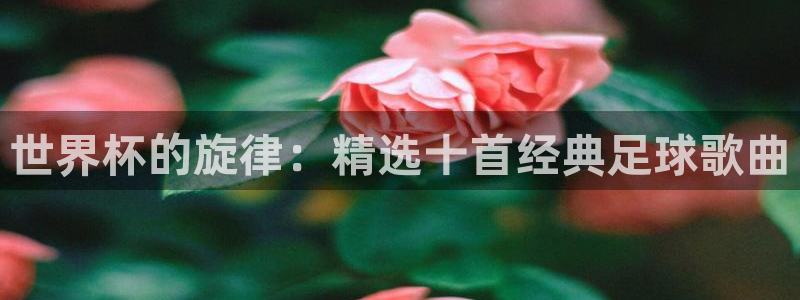 国际足联世界杯：世界杯的旋律：精选十首经典足球歌曲